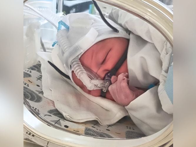 Mikołaj Auguściuk - zdjęcie główne