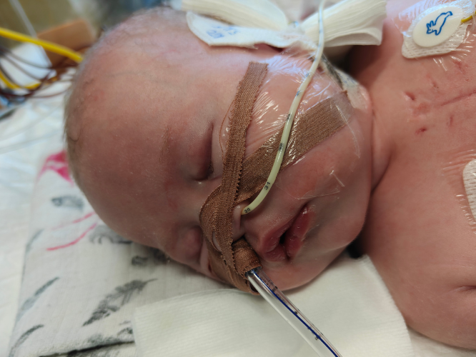 Blanka Kapała - main photo