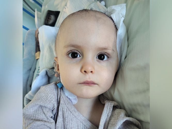 Vincent Dudek - zdjęcie główne