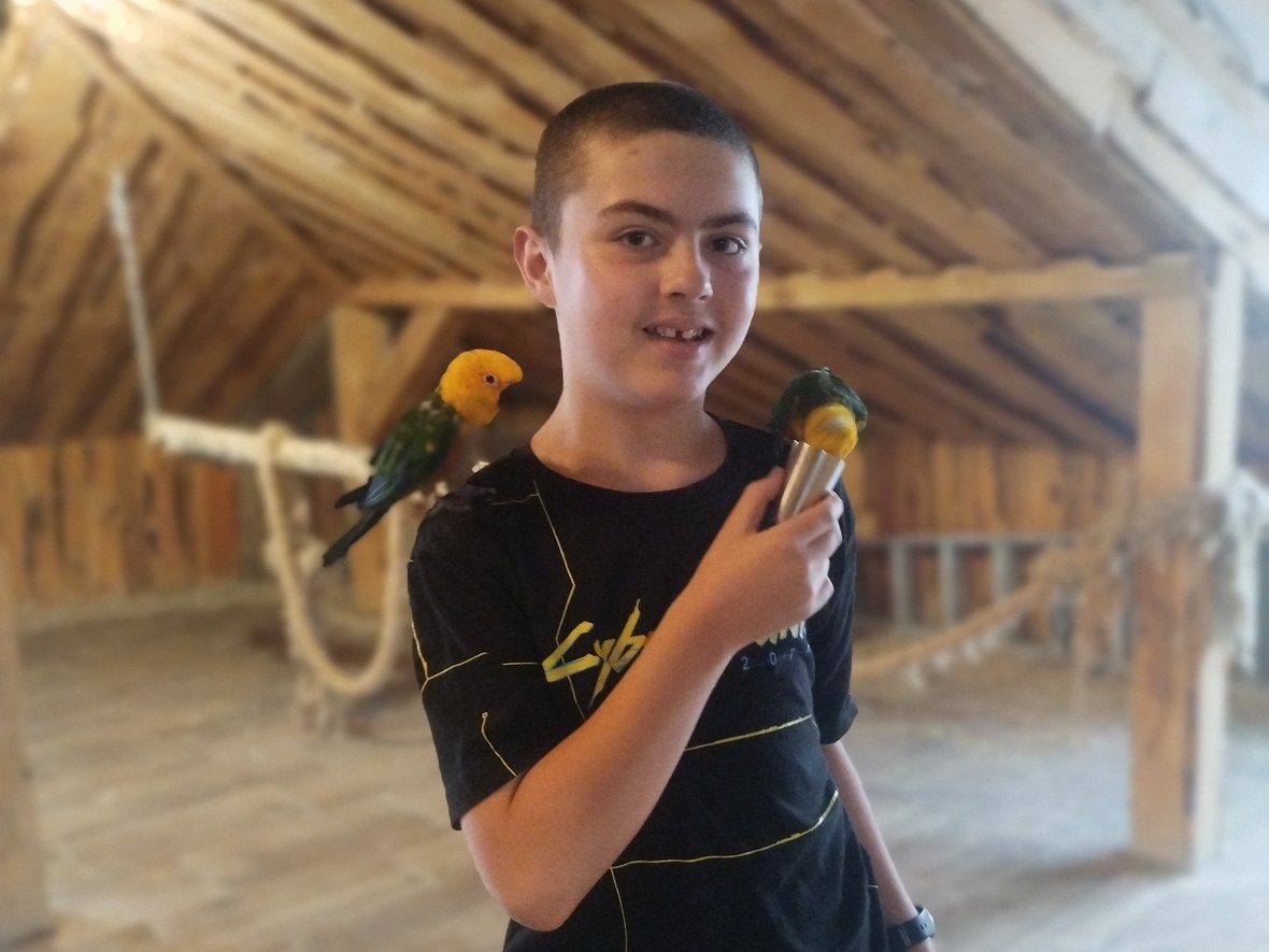 Dominik Janulewicz - main photo