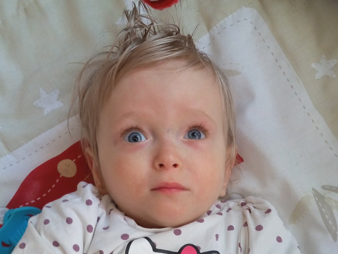 Róża Borula - zdjęcie główne