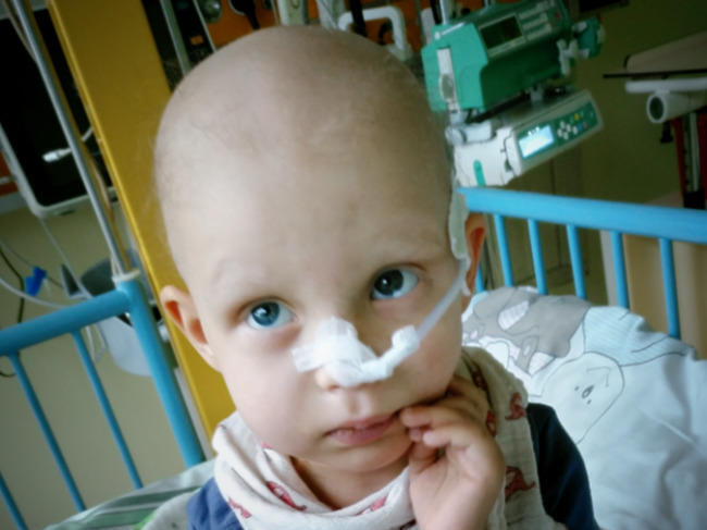 Zosia Dziedzic - main photo