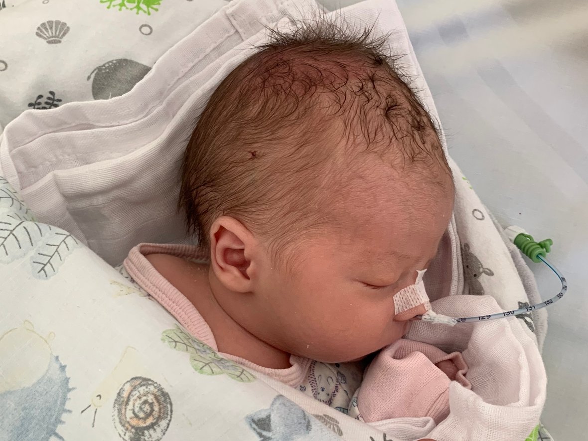 Dominik Olszewski - zdjęcie główne