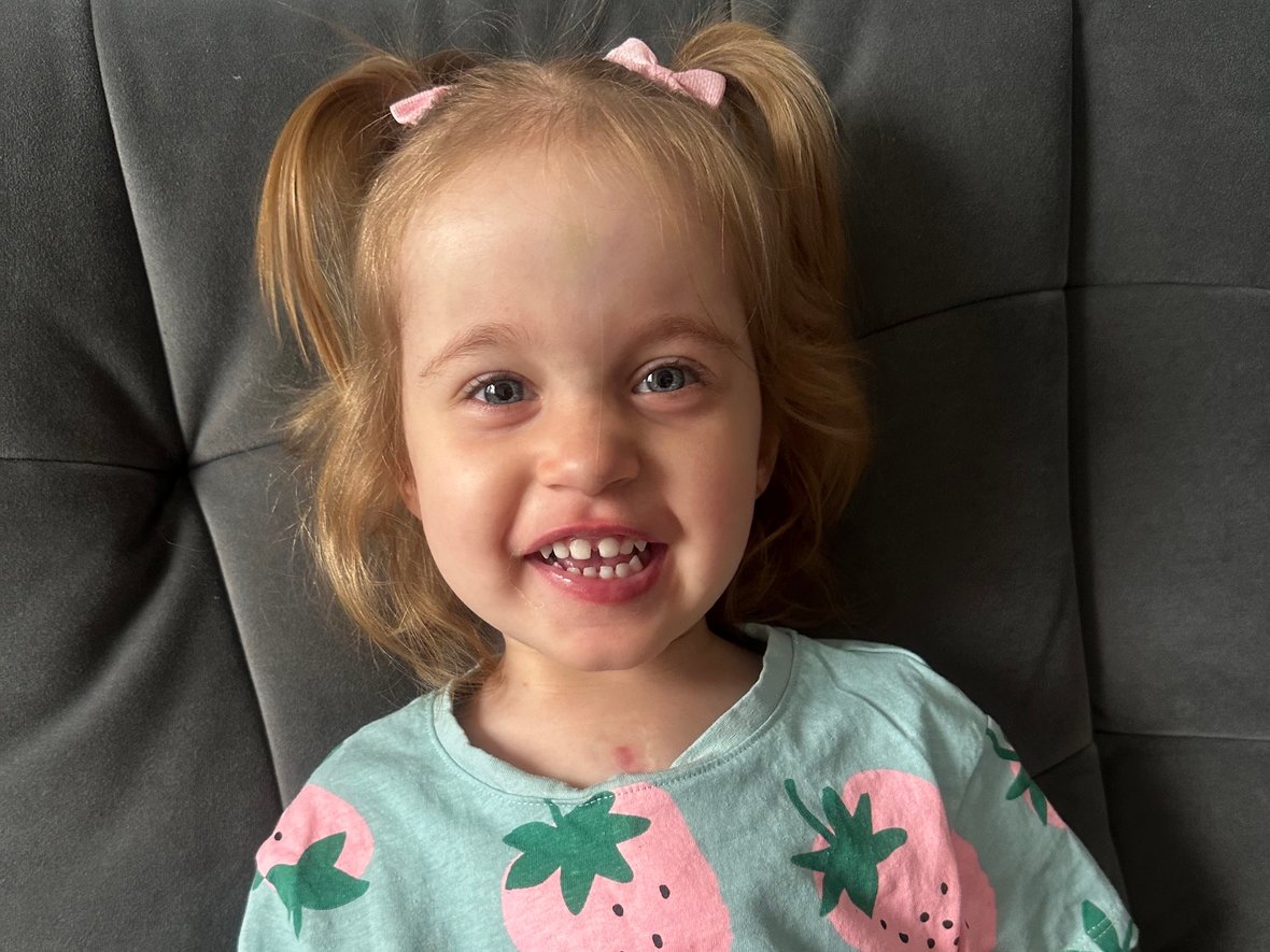 Nikola Zebrala - zdjęcie główne