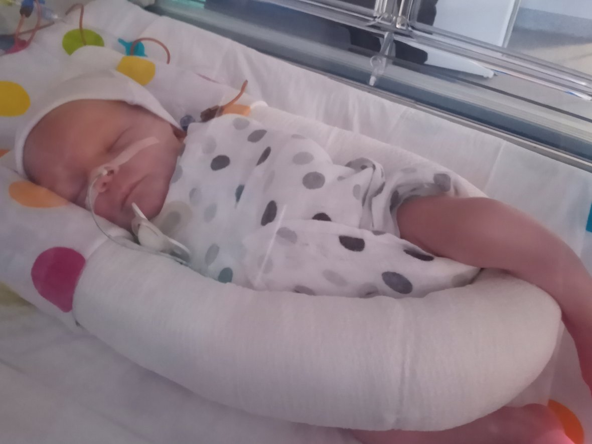 Aleksander Stopnicki - zdjęcie główne