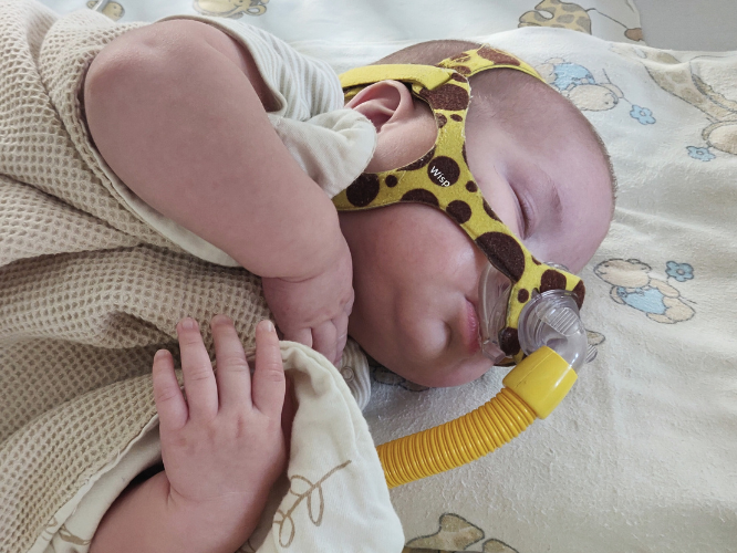 Janek Budnicki - zdjęcie główne