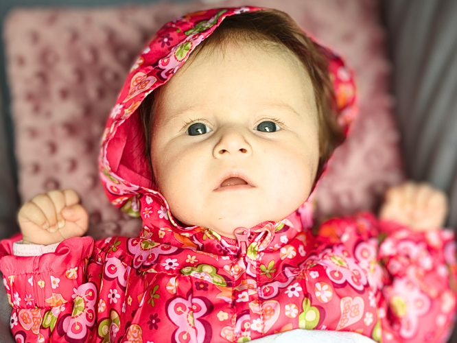 Alicja Drzewicka - zdjęcie główne