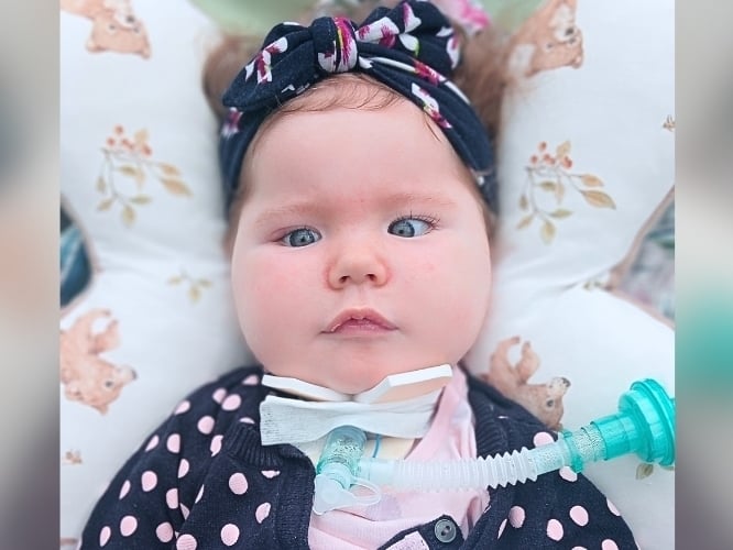 Kalinka Grzegorska - zdjęcie główne