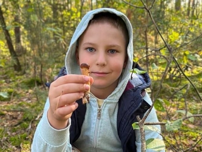 Janek Sipa - zdjęcie główne