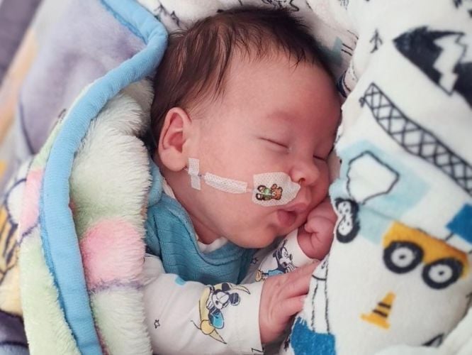 Iwo Blondzik - zdjęcie główne