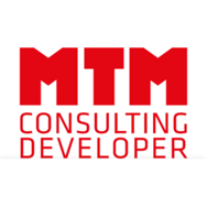 MTM Consulting Developer