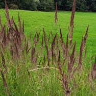 Mateusz Kucharski BARBA STUDIO