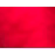 forfinance sp. z o.o.