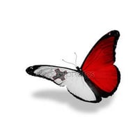 Seniorenservices LTD