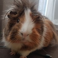 HR Partner Dorota Górczyńska