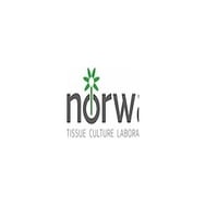 NORWA PLANTS