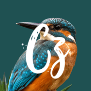 CZERWIAK STUDIO MATEUSZ CZERWIAK