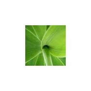 PRO-INF Usługi Informatyczne