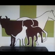 Zoo -Vet Center Katarzyna Kapryan