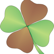 Pracownia Geologiczna Tomasz Rokicki