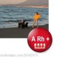 Malgorzata Monika Kielan