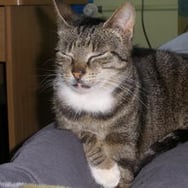 Danuta z Chojnic /Teamlitewka/