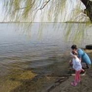 Sebastian Krasiński