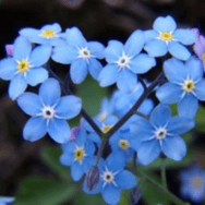 AniaSen dziekujemy #armiafranka 6/10