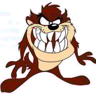 Agnieszka Krzysztoń-Obarzanek