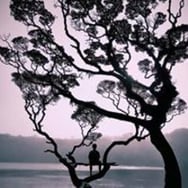 Andrzej Kamiński Borys