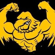 Śląsk przeprasza za swą zajebistość | www.fb.com/slonsk