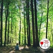 Małgorzata Półtorak