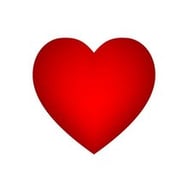 Dorota Paweł Szajstek