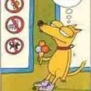 Krzysztof Dobrzyński