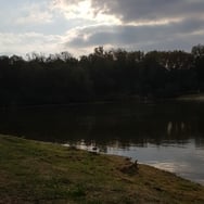 Małgorzata Mokrzycka