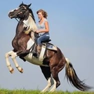 Hubertus w Stajni Bajka