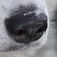 Sandra Karkoszka-Duda