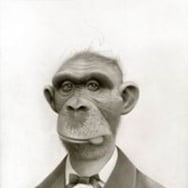 Sławomir Szuścicki