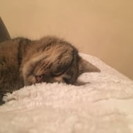 Magdalena Superwydra