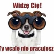 Bożena Bogusławska