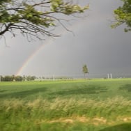 Agnieszka Pilarczyk-Pupiec