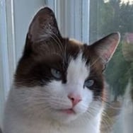 Agnieszka Brzozowska-Kunda