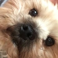 Maksymilian Grabowski