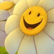 Alesandra Bujakiewicz