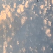 Magdalena Krzysztoń