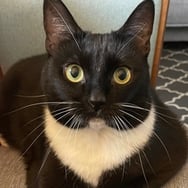 Agnieszka Kalaczyńska