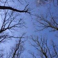 Kasia Ganszczyk-Rawska