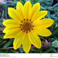 Magdalena Bieńkowska