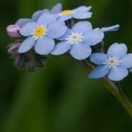 Magdalena Bederska-Błaszczyk