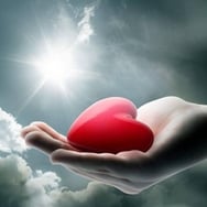 Polacy w Holandii dla Frania❤❤